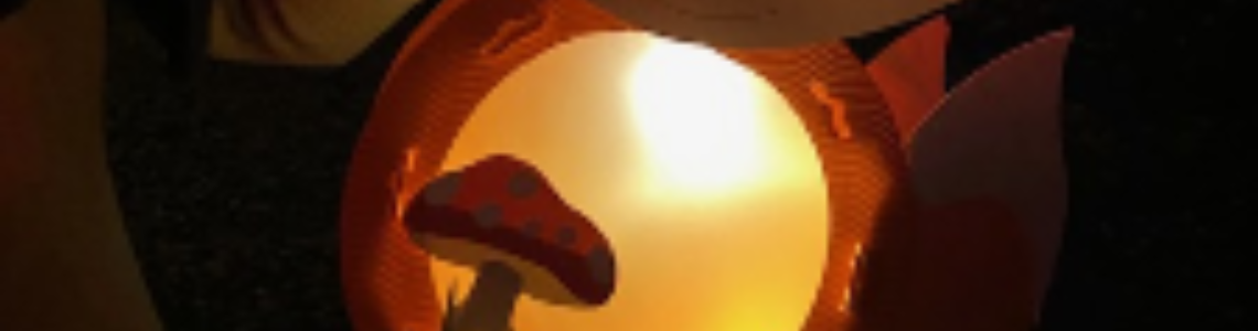 Testbild Martinsumzug