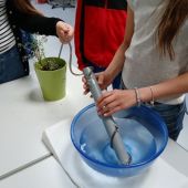 bild3.jpg